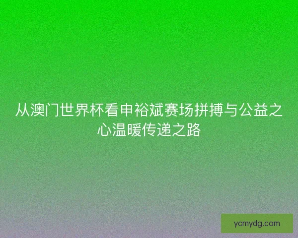 从澳门世界杯看申裕斌赛场拼搏与公益之心温暖传递之路